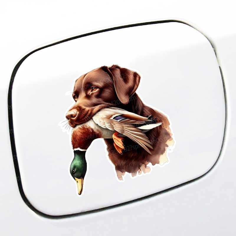 Grappige Gele Labrador Retriev - Home Bathroom Tiles recensie en prijs